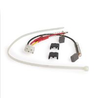Pro Motor Brush Paint Sprayer Kit for Pro210ES